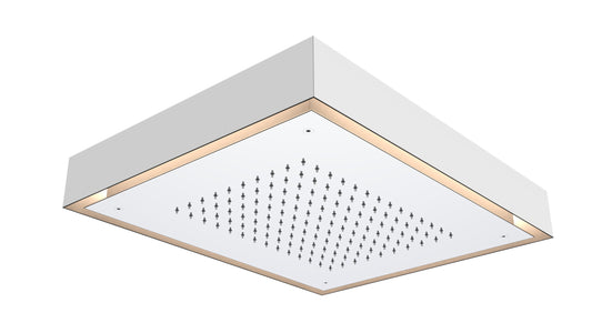 SH540 Ceiling Mounted Shower Head